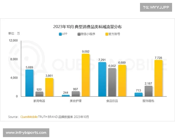 英超品牌的发展历程与当今影响力分析 英超品牌的发展历程与当今影响力分析